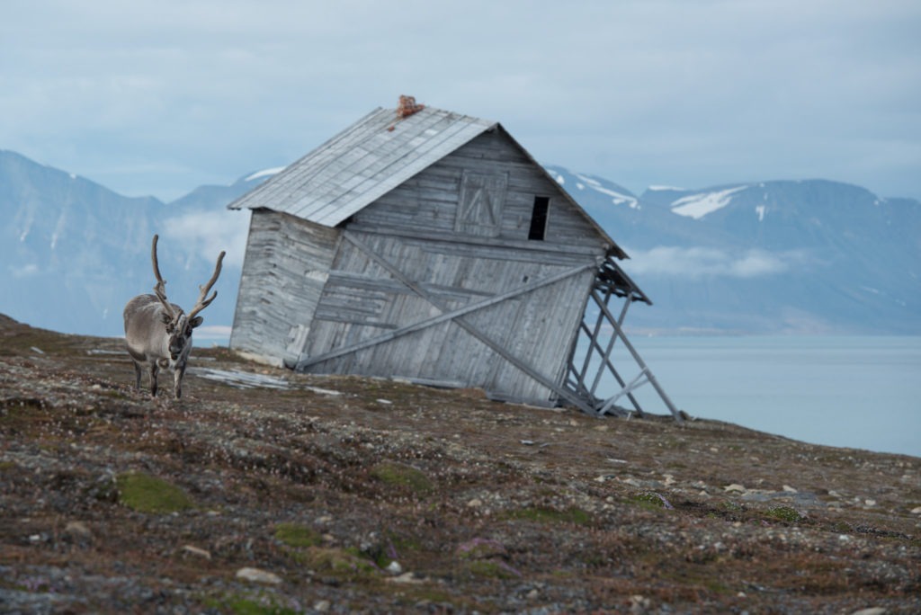 Barba Longyearbyen (14 of 16)