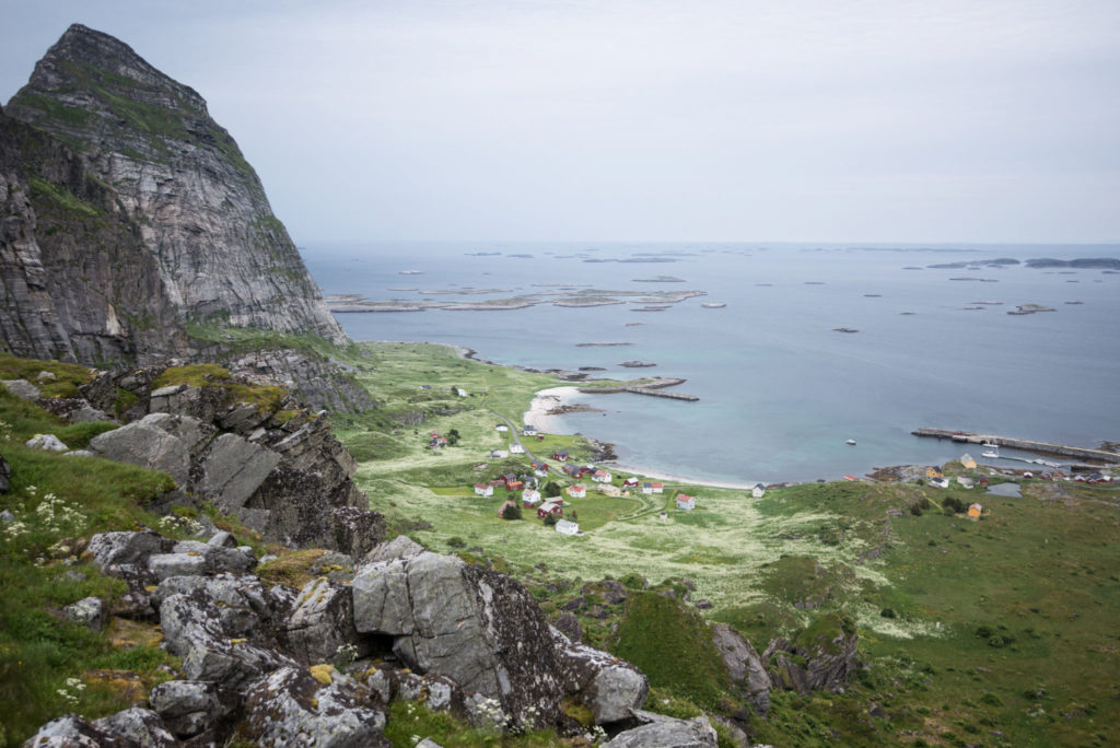 Barba at port in Træna. 