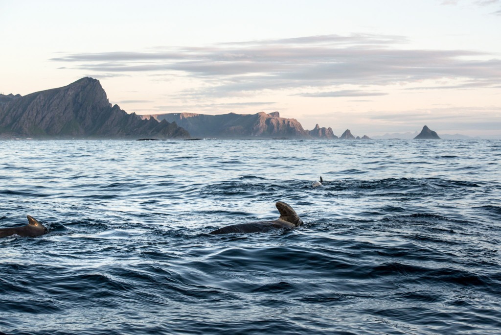 Lofoten (17 of 24)