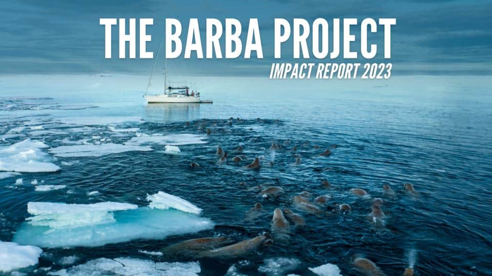 2023 Barba Project Impact report, Barba S.V. surrounded by sea lions